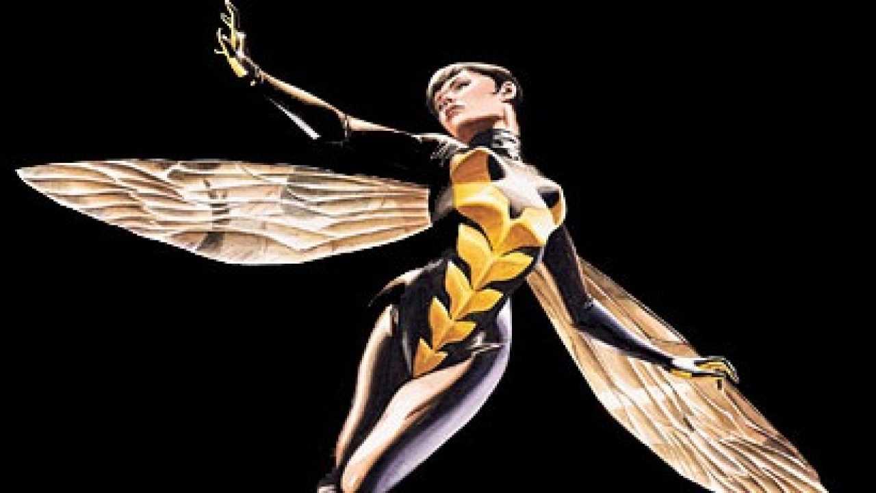 Wasp si prepara a colpire