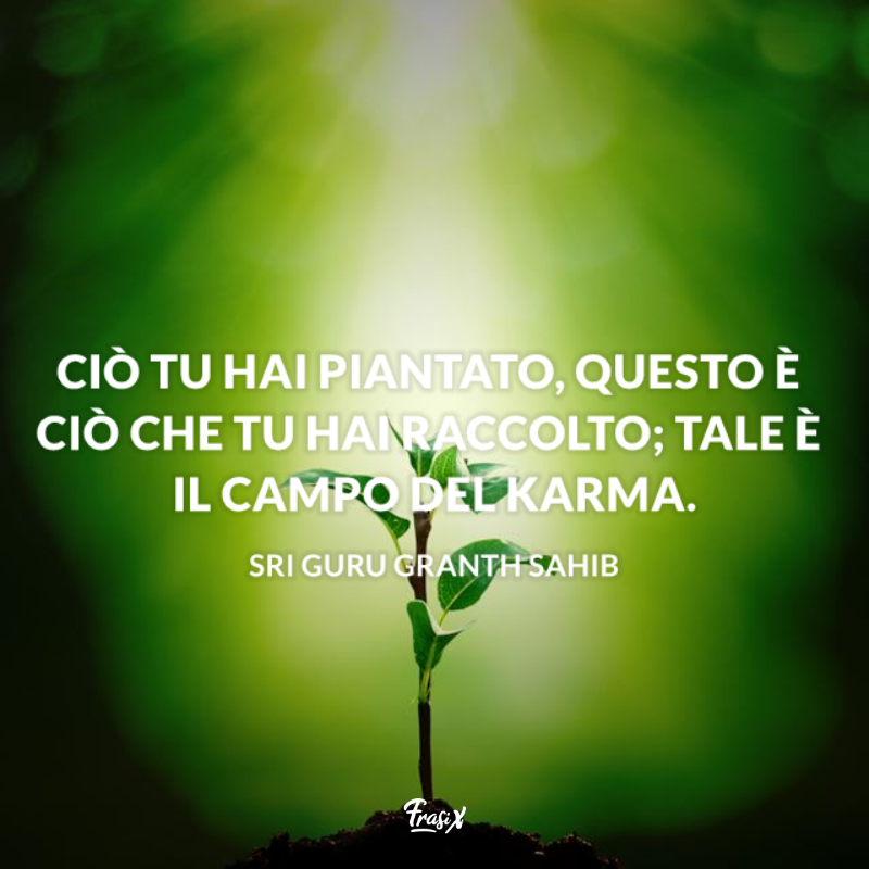 Ciò tu hai piantato, questo è ciò che tu hai raccolto; tale è il campo del karma. 