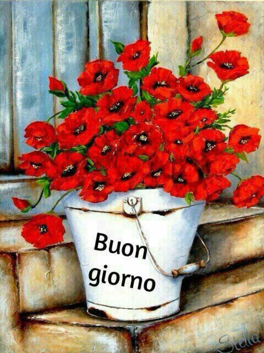 Immagini belle buongiorno