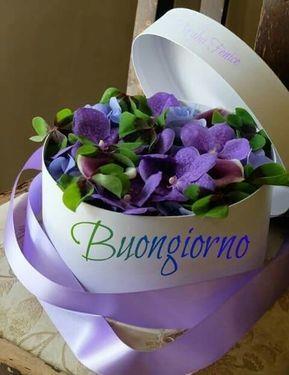 Un mazzo di viole - Fiori, le più belle immagini per il buongiorno, buonanotte e buon compleanno
