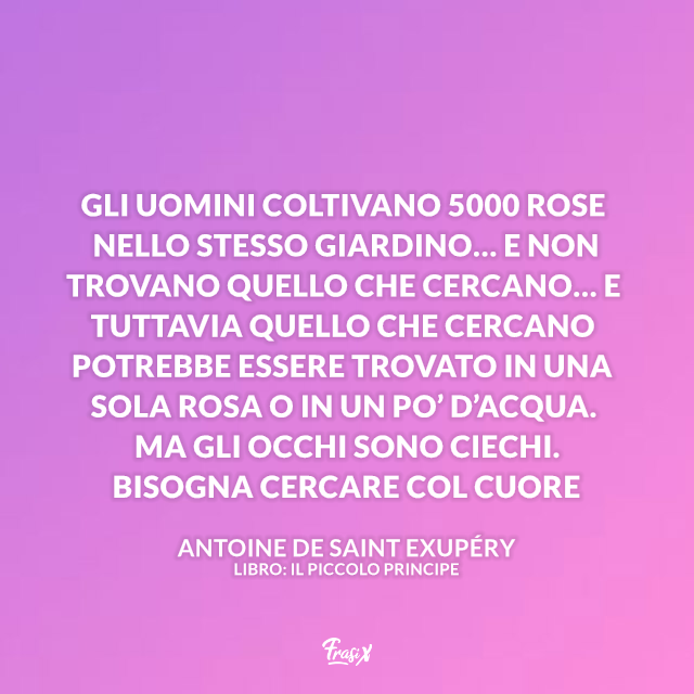 Immagine con frase del Piccolo Principe