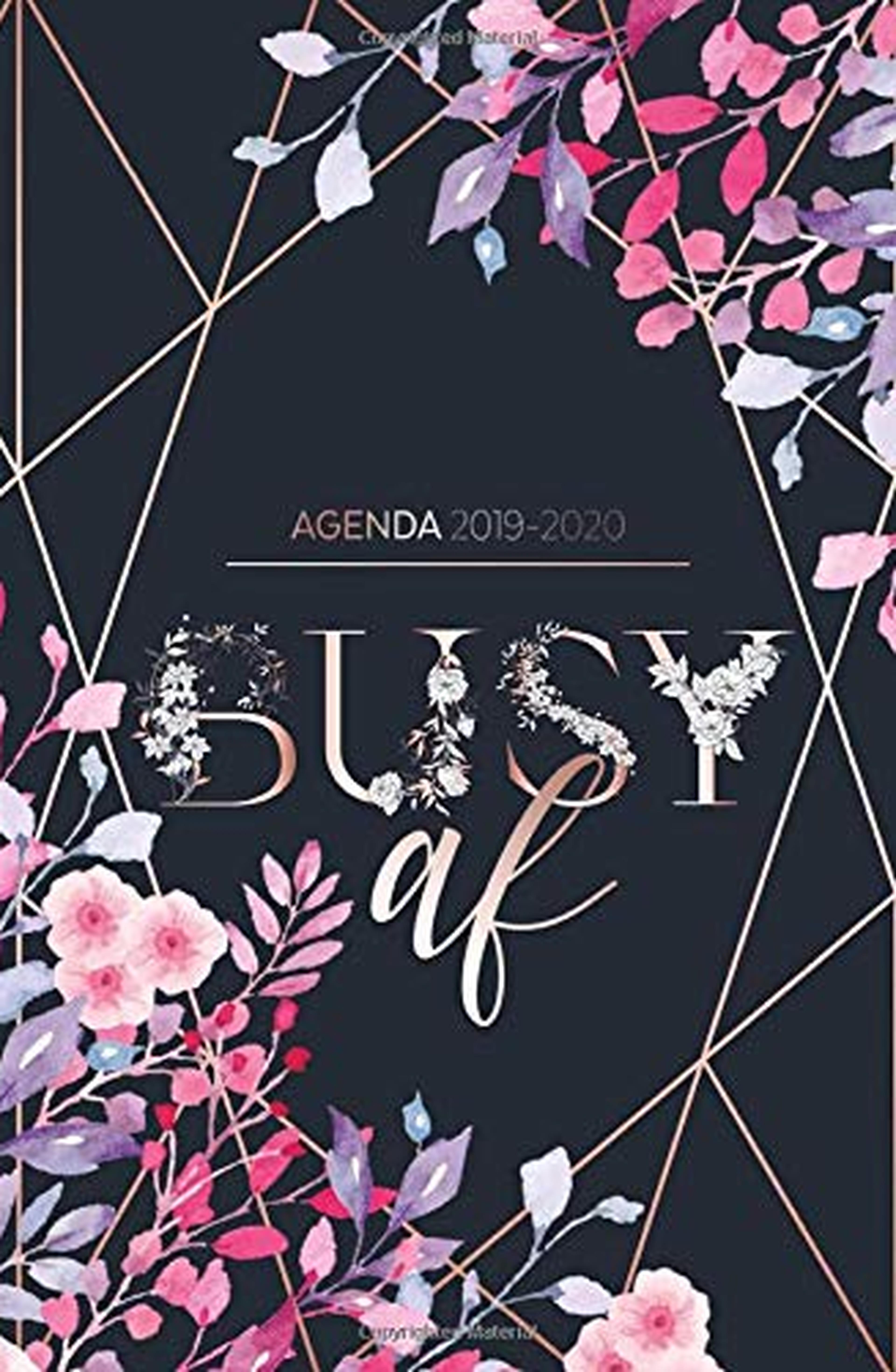 Agenda 2019 - 2020: Busy AF - Agenda Giornaliera Agosto 2019 a Dicembre 2020 - Agenda Settimanale 2019 - 2020 | Journalier, Agende, Office e ... | Pianifica i tuoi appuntamenti quotidiani