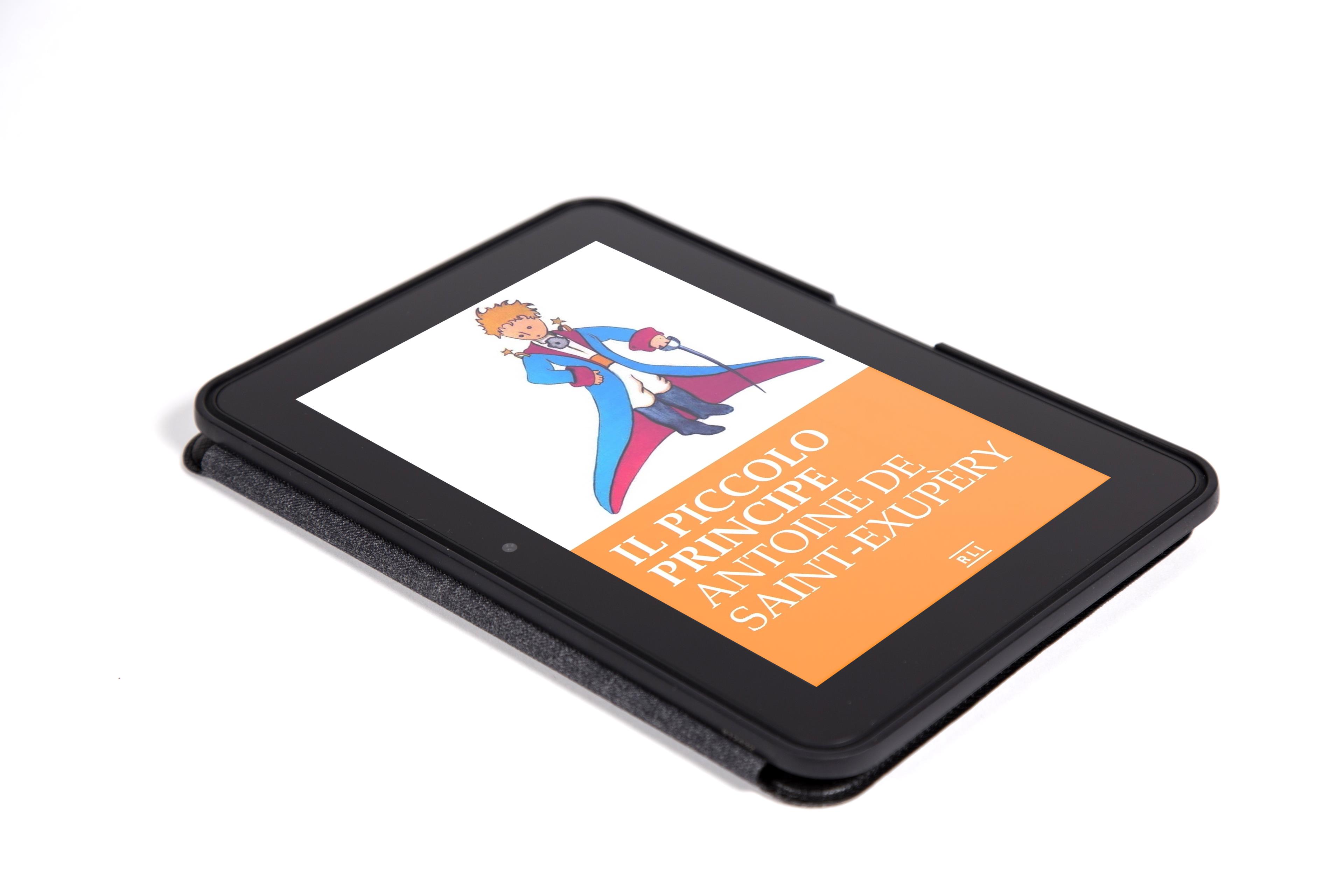 Il Piccolo Principe (Formato Kindle)