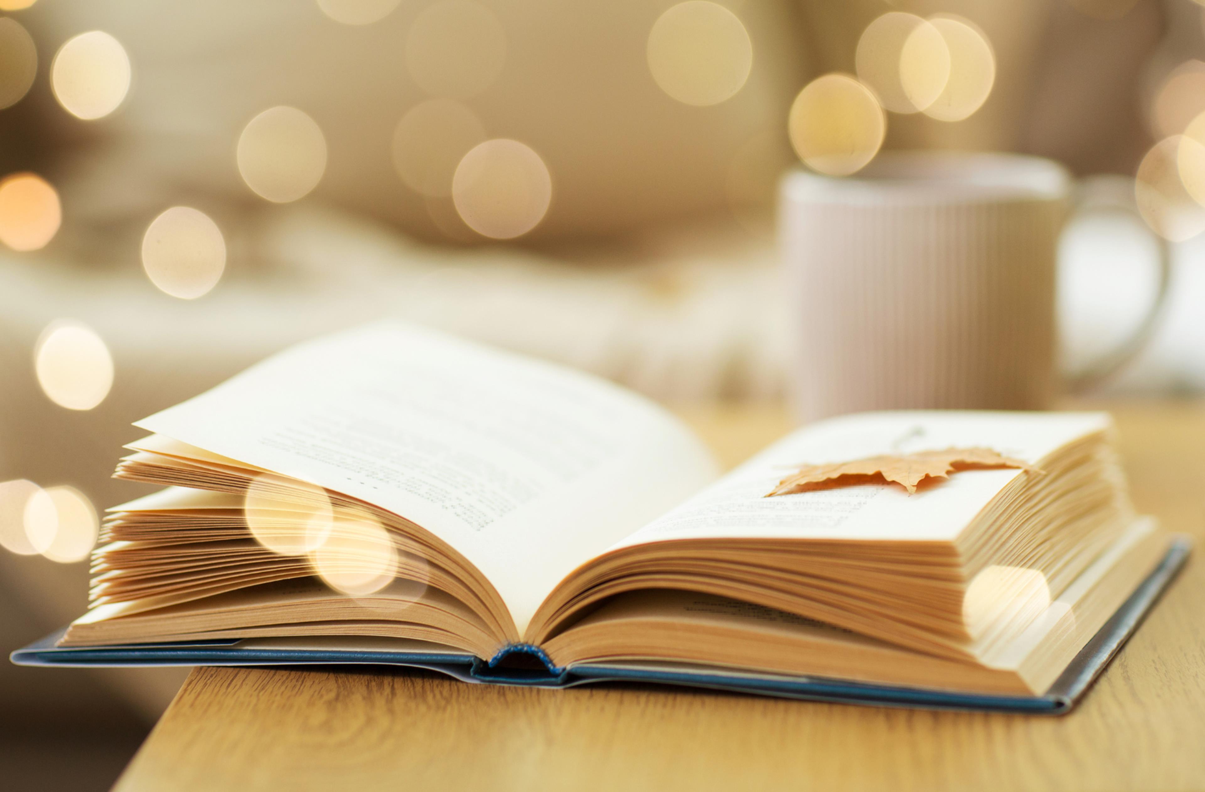 Libro aperto sul tavolo con una foglia tra le pagine