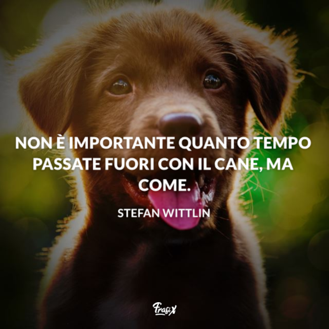 Piu Conosco Le Persone E Piu Amo Il Mio Cane