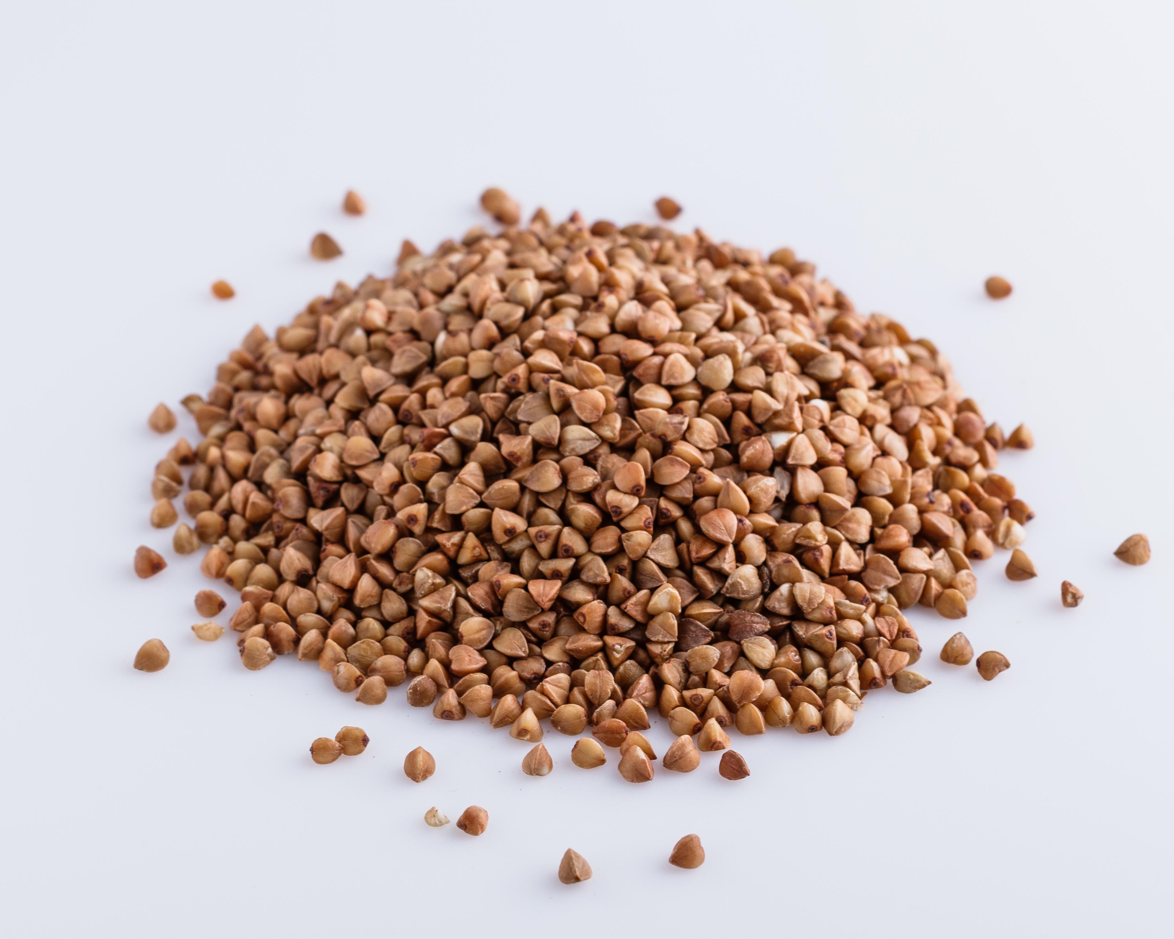 Chicchi di Grano saraceno