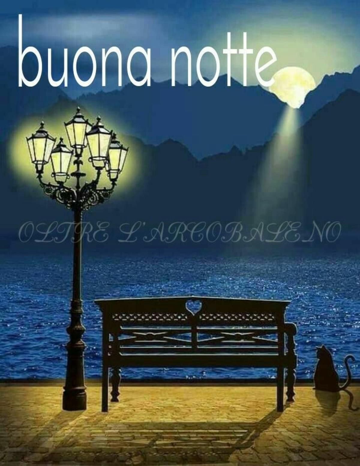Immagini belle buonanotte