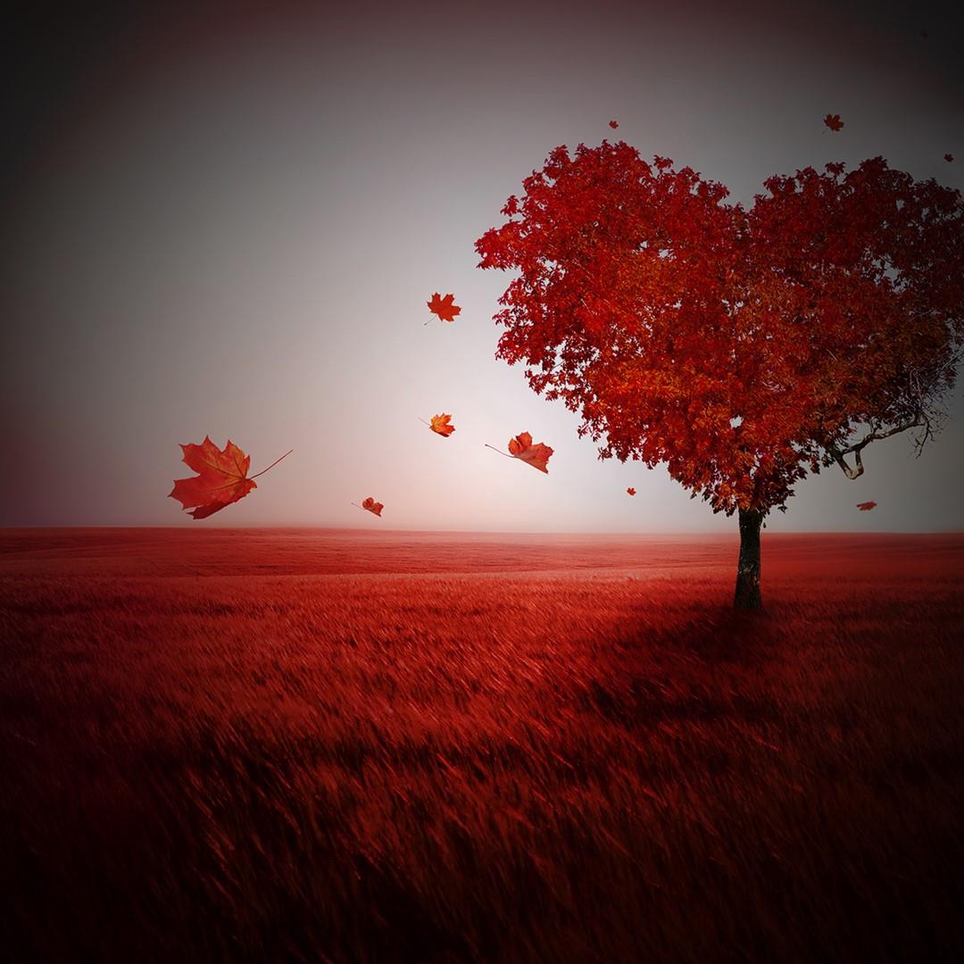 Copertina frasi fatte d'amore