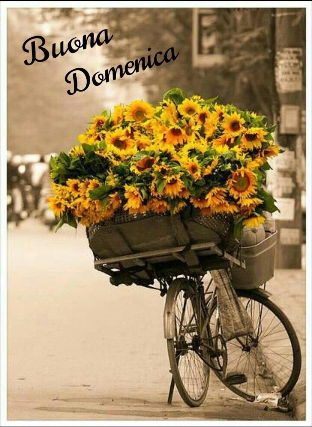 Immagini belle di buona domenica