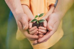 Earth Day, Giornata mondiale della Terra: i migliori film sulla coscienza ambientale