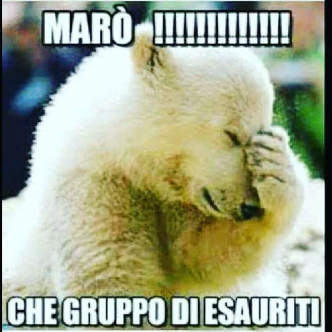Adesivi da muro frase divertente Adesivi da muro frase divertente
