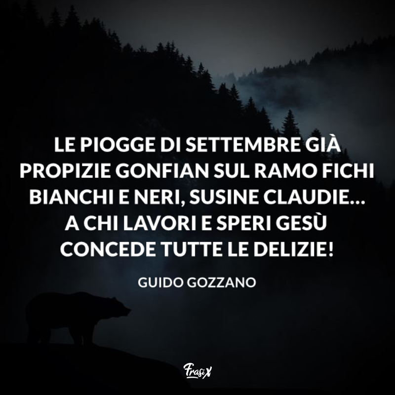 Orso in ombra su un monte