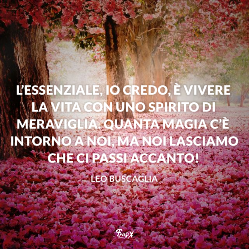 Bosco con alberi in fiore