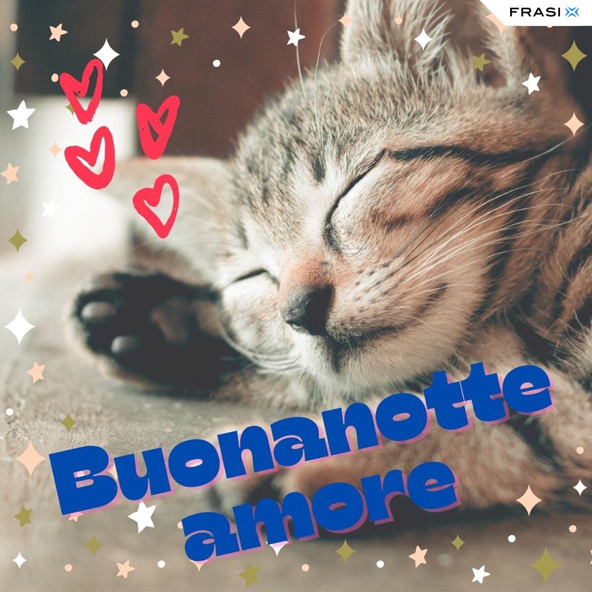 Immagine con gattino che dorme e frase Buonanotte amore