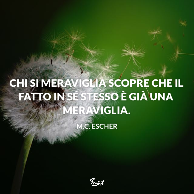 Dente di leone perde i petali