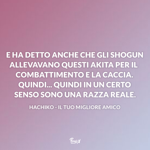 E ha detto anche che gli shogun allevavano questi akita per il combattimento e la caccia. Quindi... quindi in un certo senso sono una razza reale.