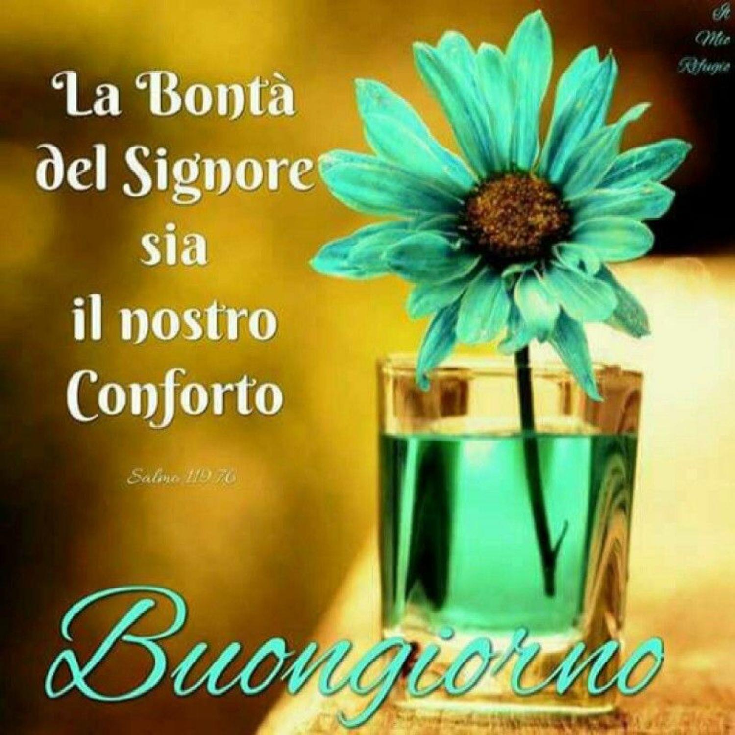 Immagini belle buongiorno
