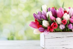 Un vaso pieno di fiorni - Fiori, le più belle immagini per il buongiorno, buonanotte e compleanno
