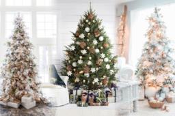 Una guida per scegliere l'albero di Natale migliore traendo ispirazione dagli esemplari più belli.