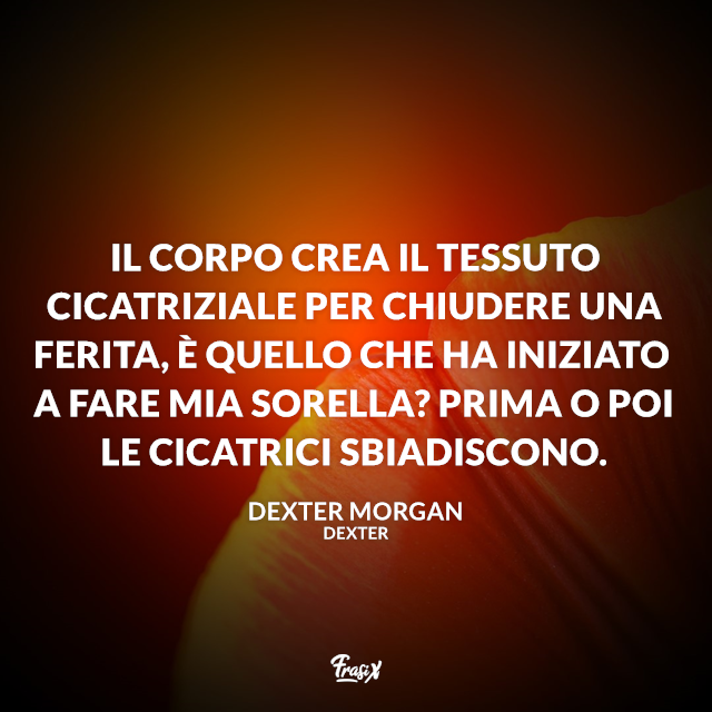Il corpo crea il tessuto cicatriziale per chiudere una ferita, è quello che ha iniziato a fare mia sorella? Prima o poi le cicatrici sbiadiscono.