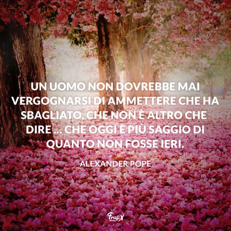 Bosco in fiore con petali rosa sul terreno
