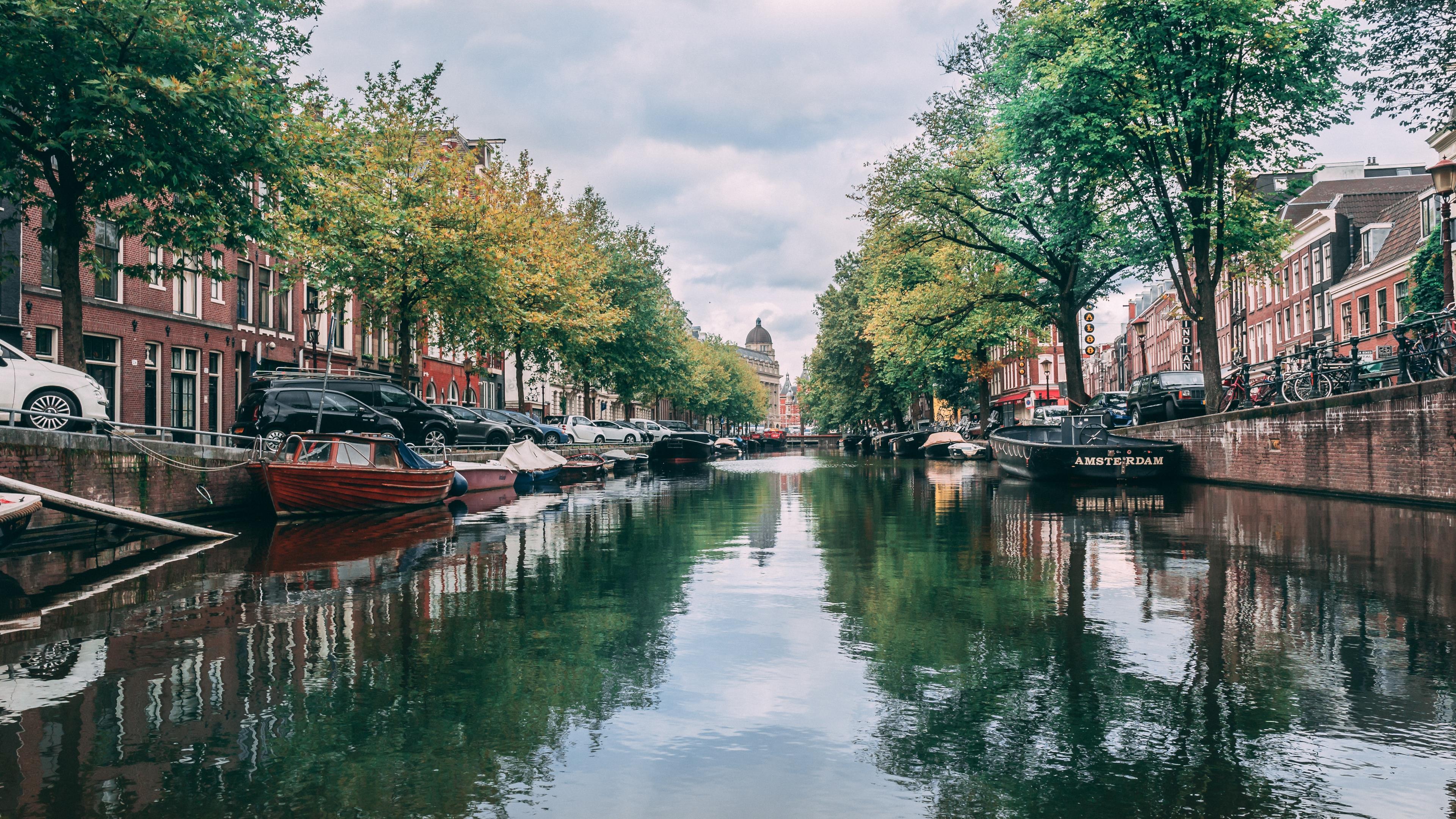 Copertina amsterdam frasi canzoni