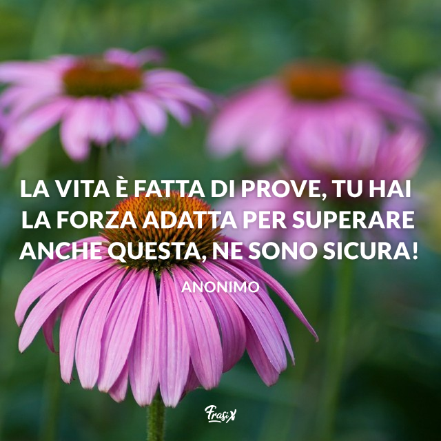 La vita è fatta di prove, tu hai la forza adatta per superare anche questa, ne sono sicura!