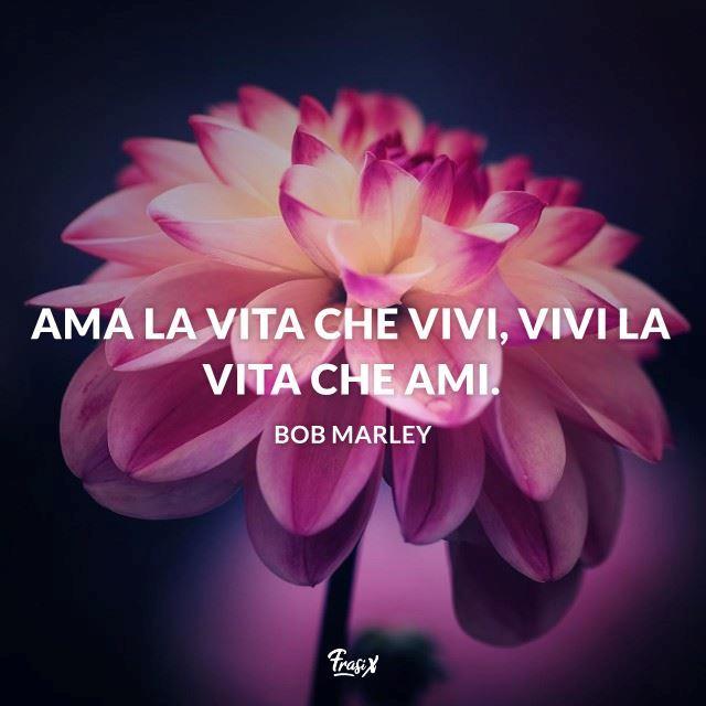 Stati Whatsapp sulla vita 50+ frasi belle e profonde da condividere