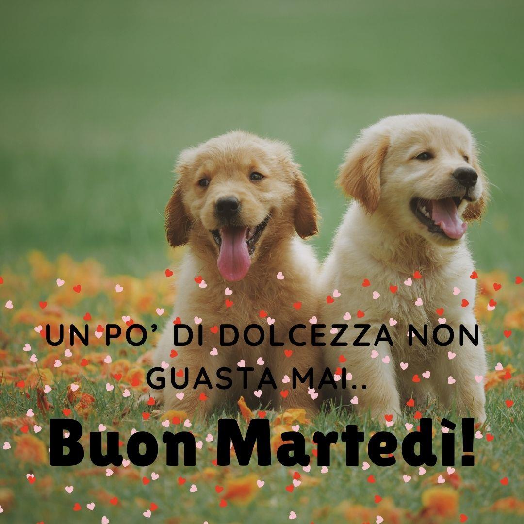Un po’ di dolcezza non guasta mai.. Buon Martedì