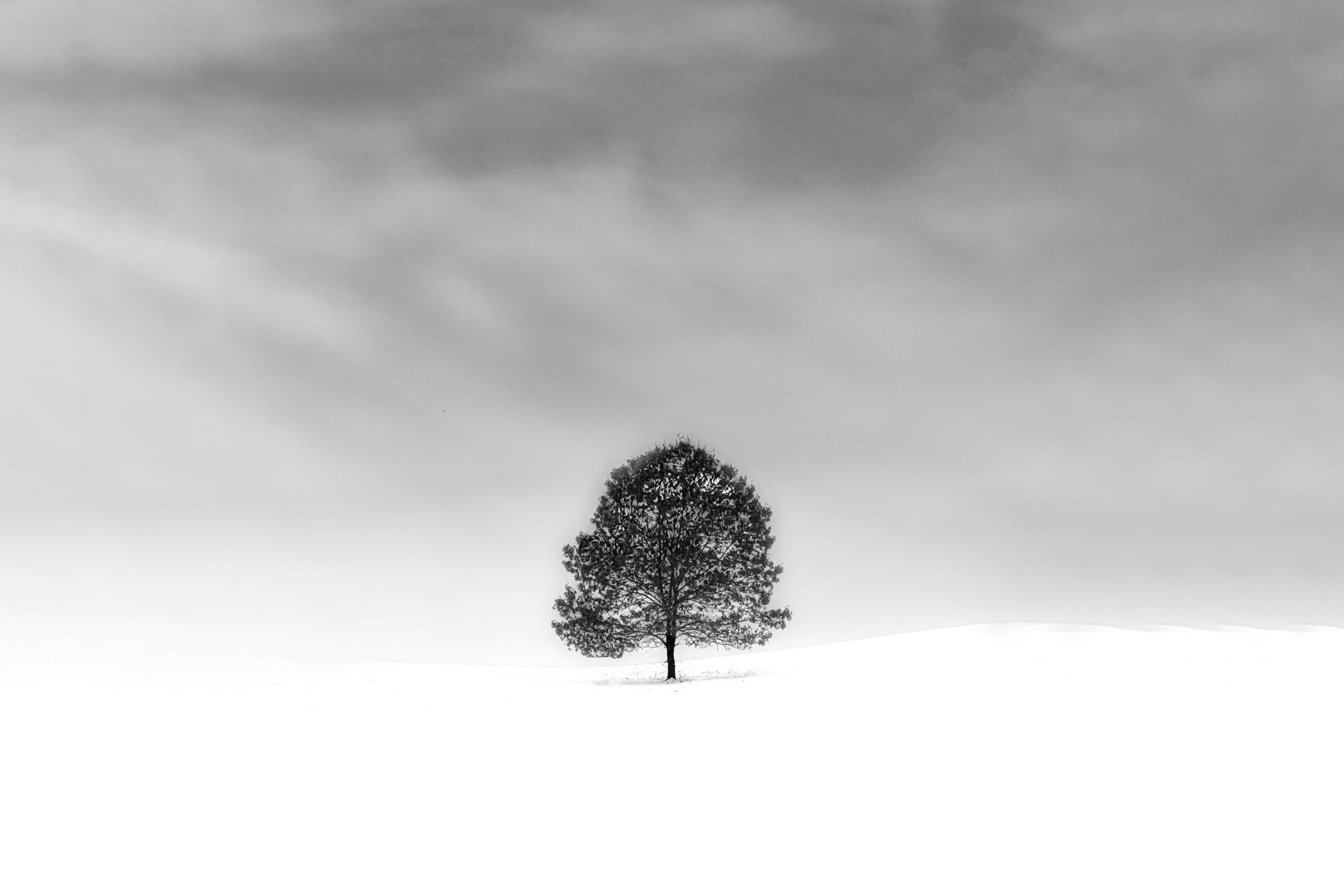 Copertina frasi sulla semplicità brevi