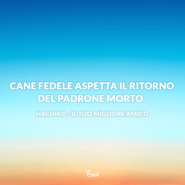 Cane fedele aspetta il ritorno del padrone morto.
