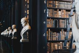 Biblioteca con busti di marmo antichi