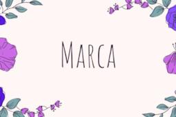 Copertina Marca origine e significato