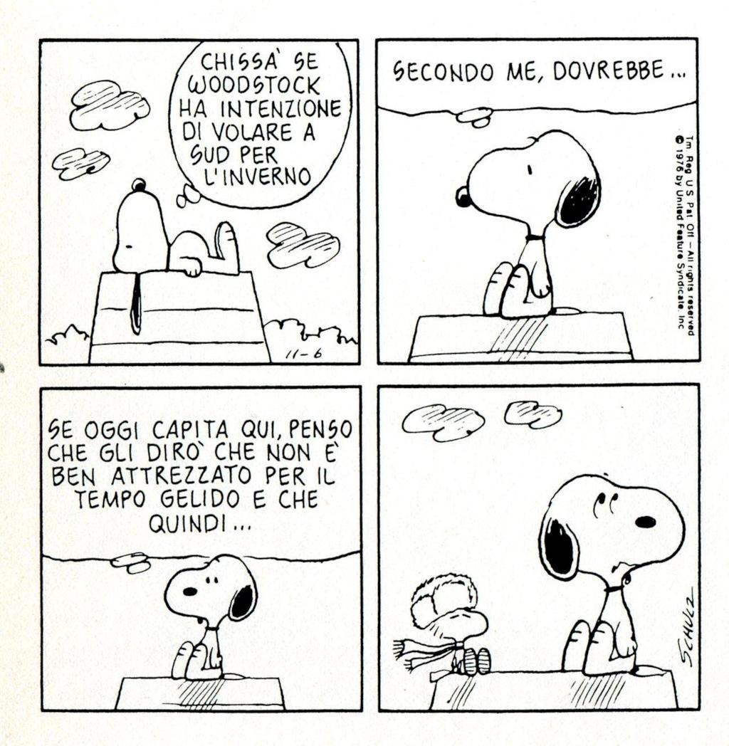 Snoopy e i Peanuts: le 20 vignette più divertenti