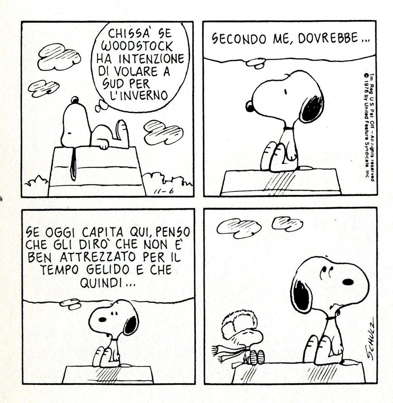 Una vignetta di Snoopy