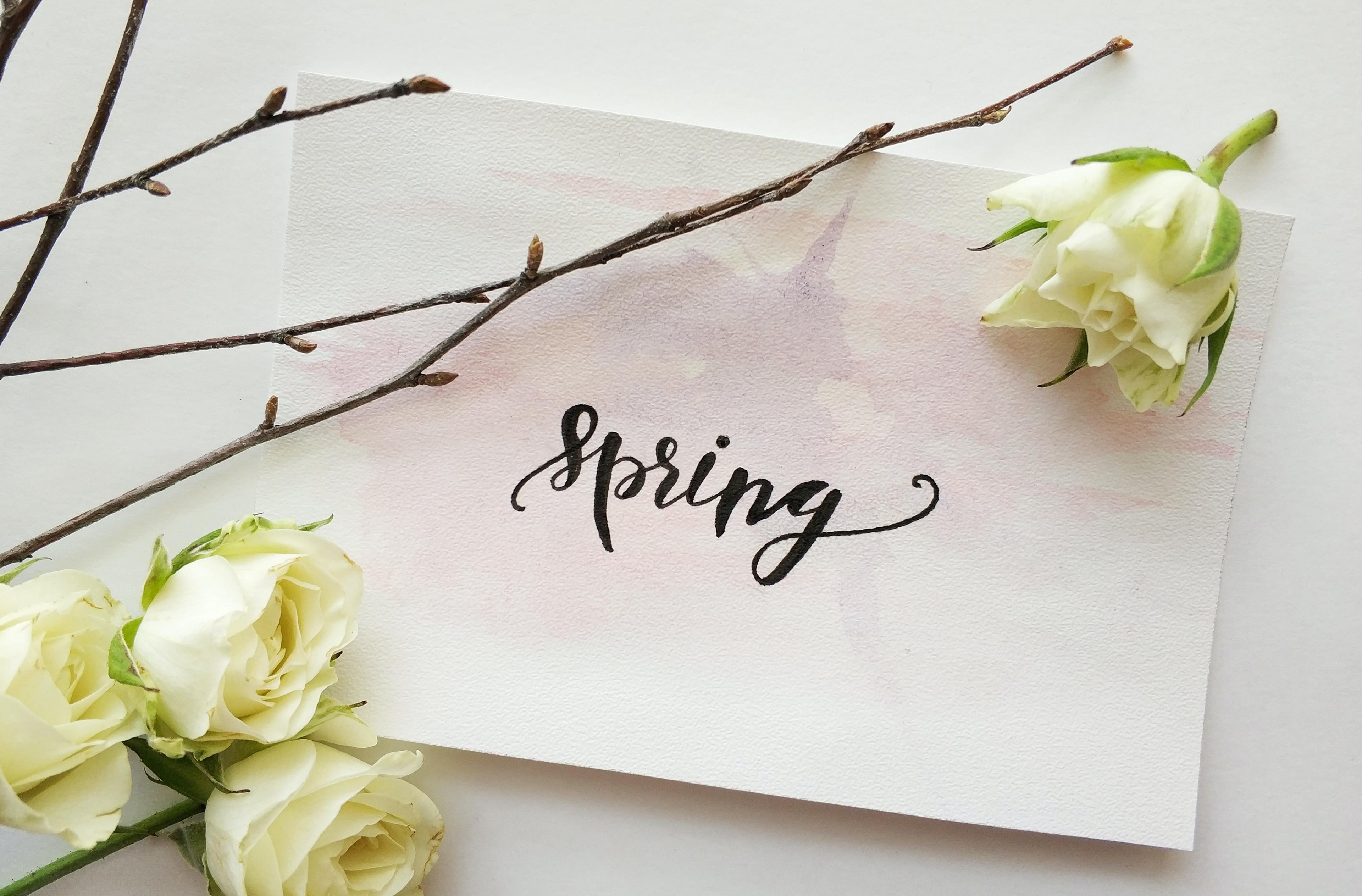 Foglio con la scritta Spring circondato da rose bianche
