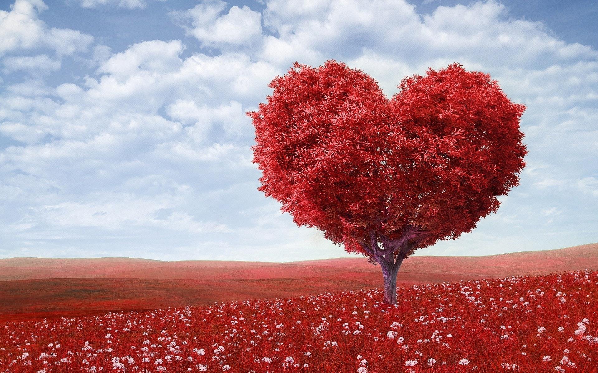 Albero a forma di cuore