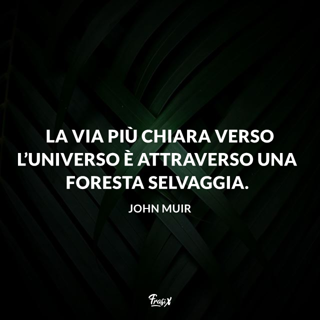Immagine con frase sull'universo Muir