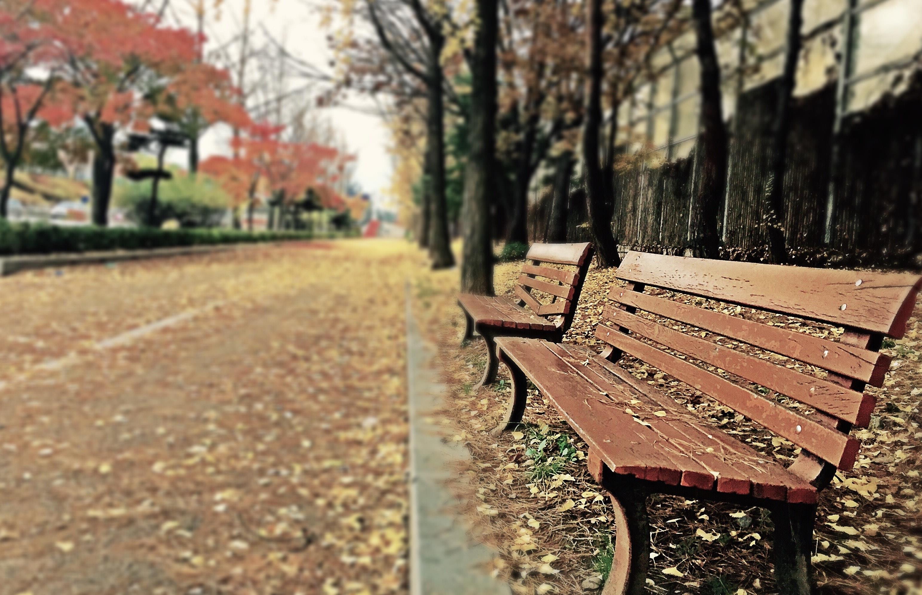 Panchine in un parco