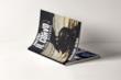 Cover di Il Corvo Libro Secondo Limited Edition