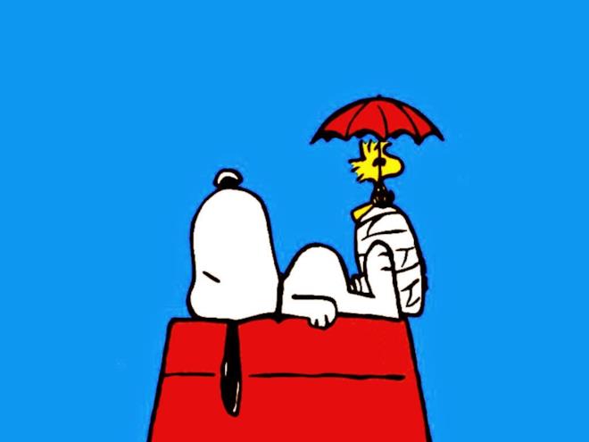 Come Si Chiama L Uccellino Di Snoopy