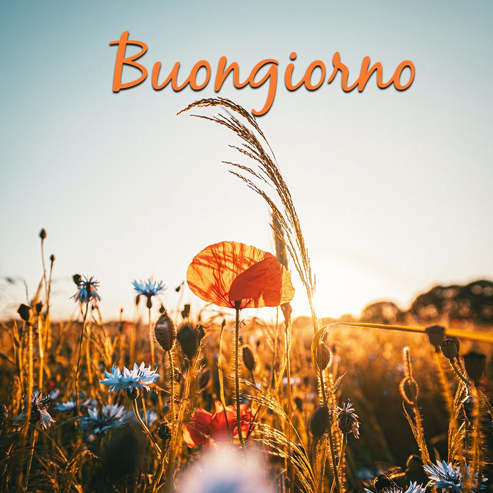 Immagini belle buongiorno