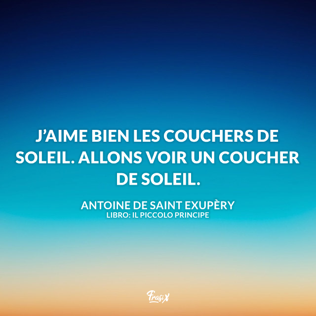 Immagine con frase in francese de Il Piccolo Principe