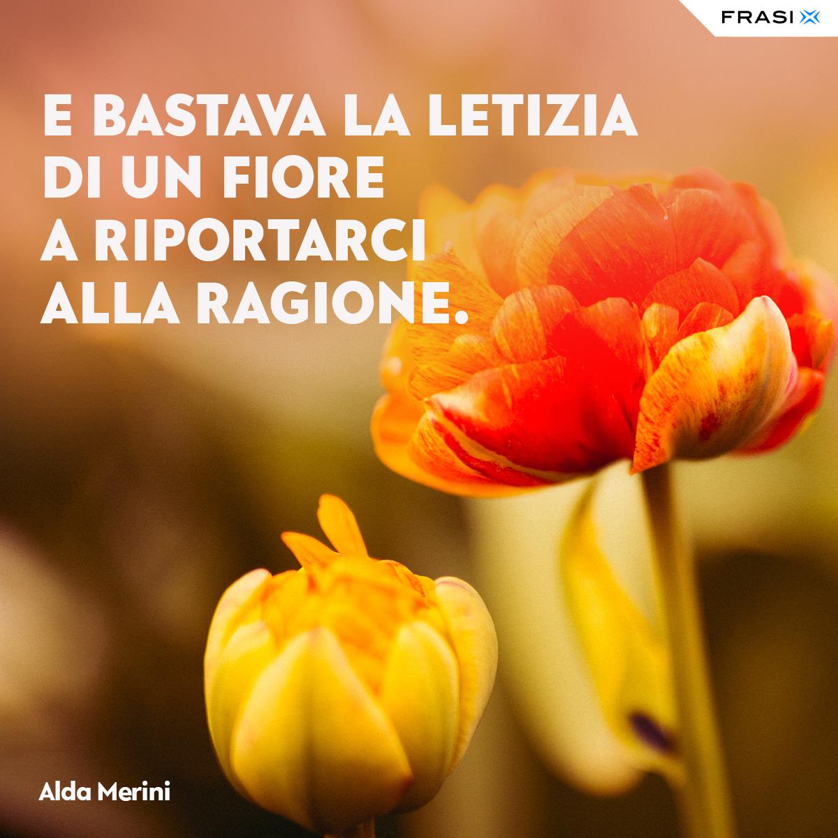 Immagine fiore con frase semplicità Alda Merini