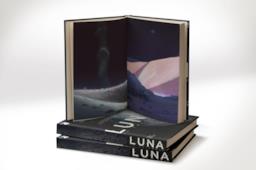 Un dettaglio della copertina di Luna: la trilogia