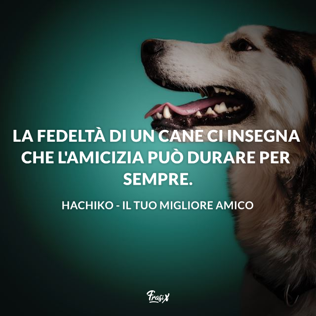 La fedeltà di un cane ci insegna che l'amicizia può durare per sempre.