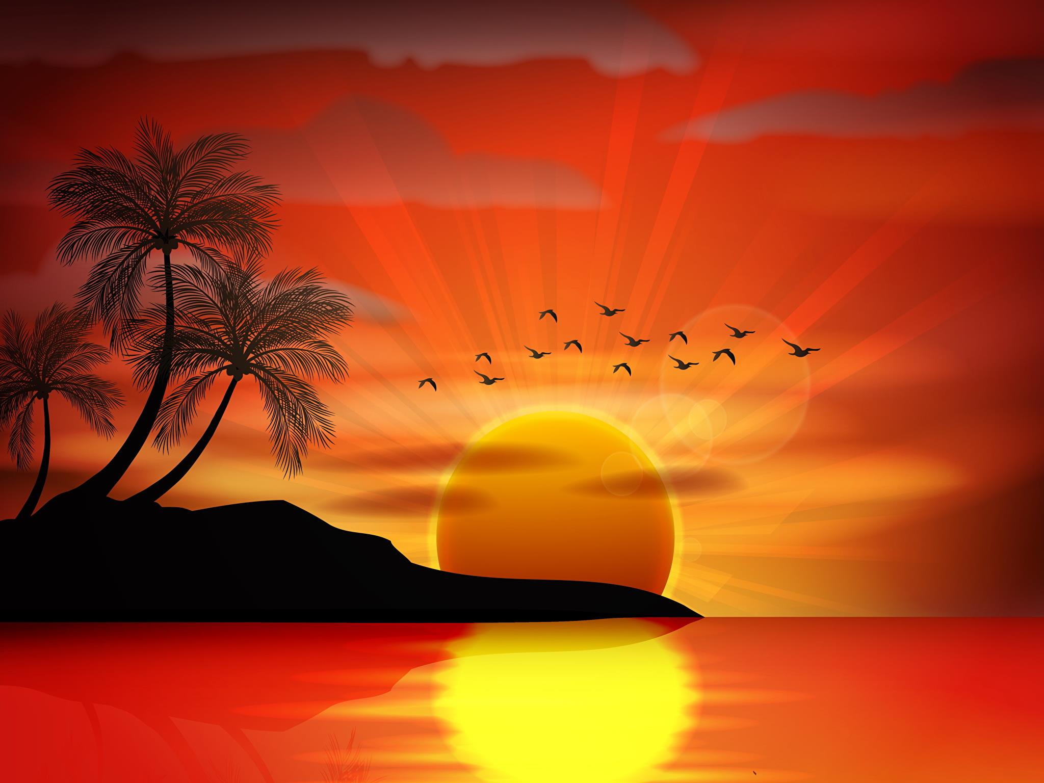 Il disegno di un tramonto - Sfondi per PC, iPhone, Android e profilo WhatsApp da scaricare