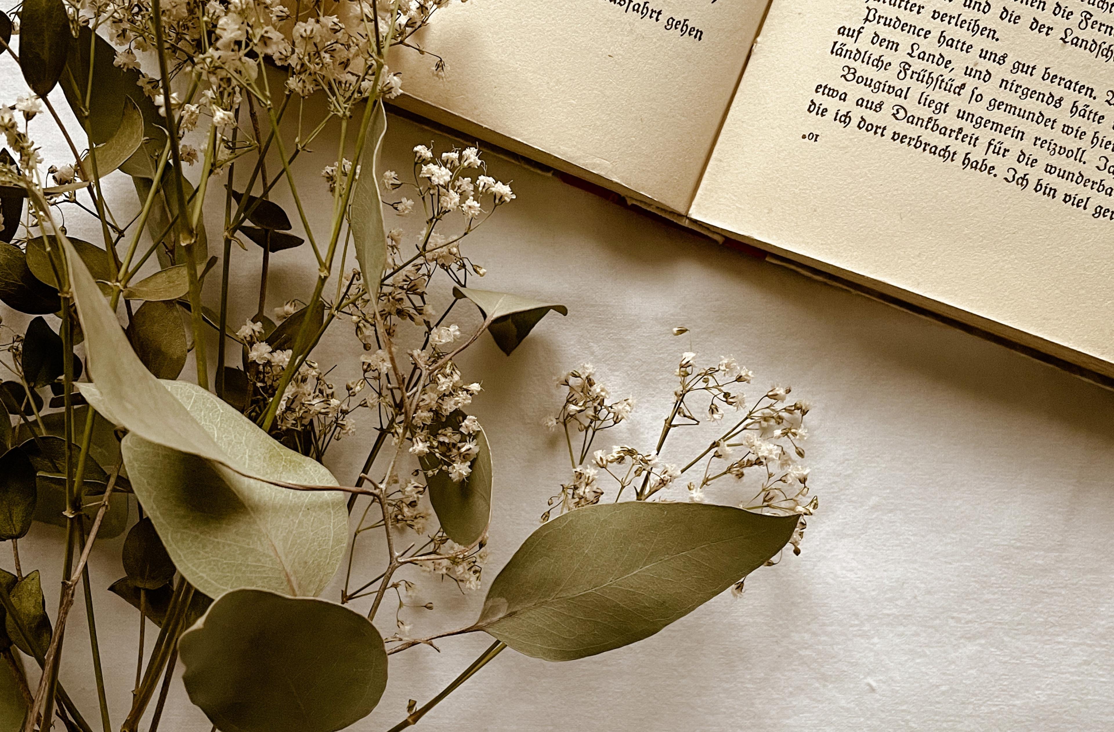 Libro con accanto dei fiori bianchi 