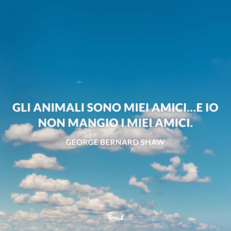 Gli animali sono miei amici…e io non mangio i miei amici. 