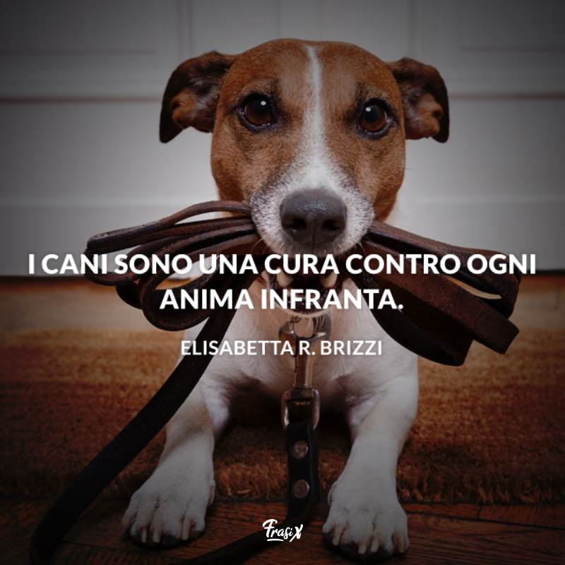 Immagine con citazione elisabetta r. brizzi per aforismi sugli animali cane